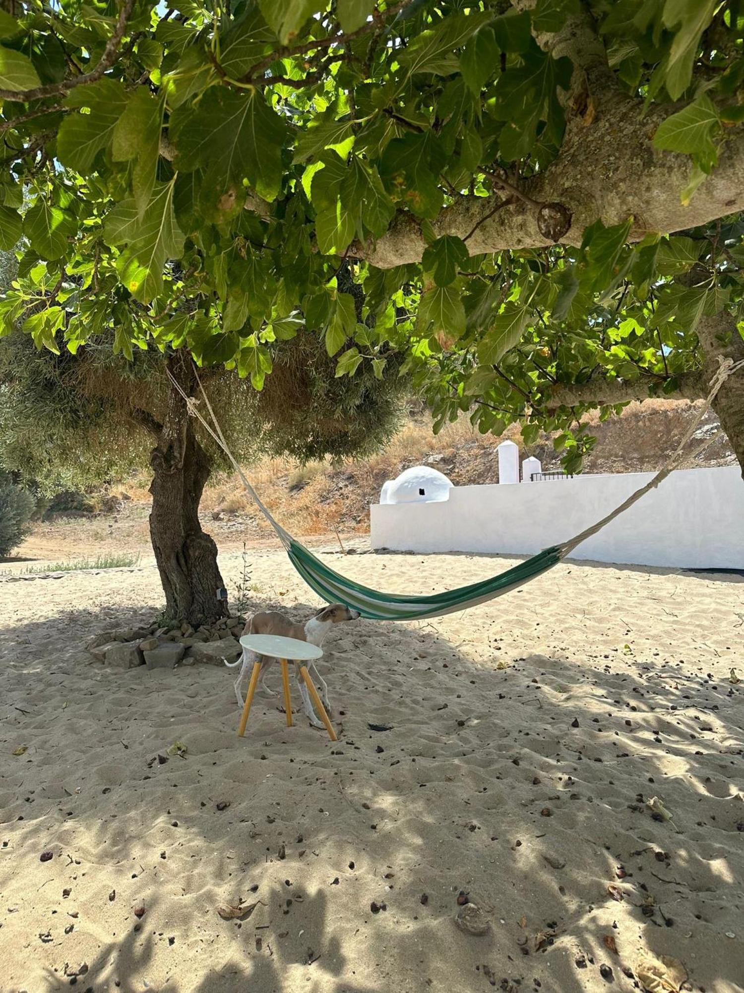 Magnifica Casa A Orillas Del Guadiana Уелва Екстериор снимка